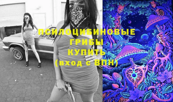 гашик Армянск