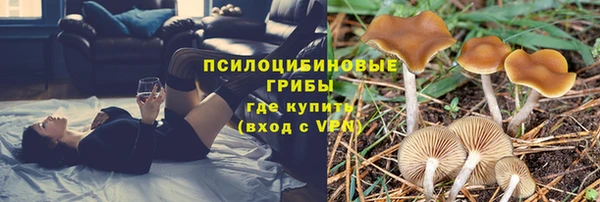 гашик Армянск