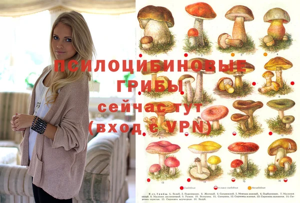 PSILOCYBIN Арсеньев