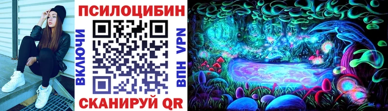 магазин продажи наркотиков  Николаевск-на-Амуре  Галлюциногенные грибы Psilocybe 